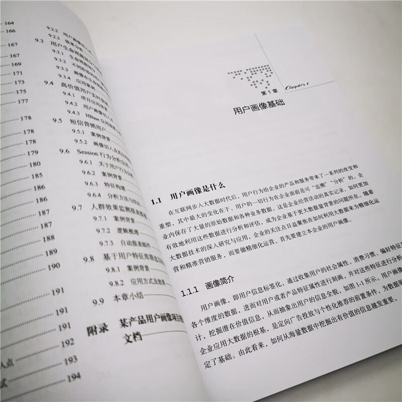 User portrait methodology and engineering solutions