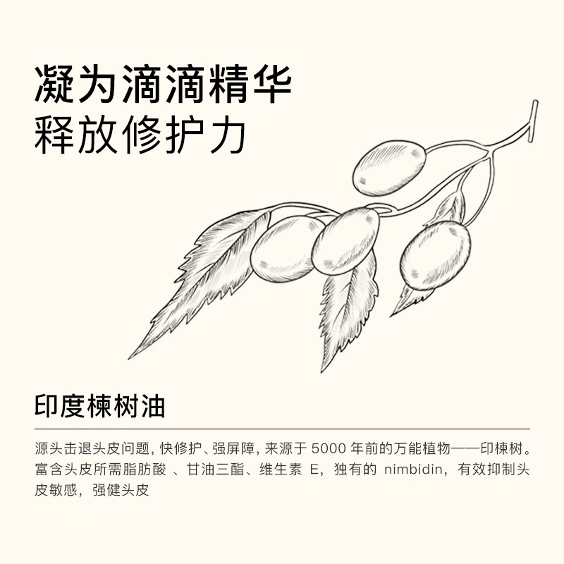 MY.ORGANICS organic strong conditioner 200ml strong repair anti-breakage imported Zhang Xiaohui recommended