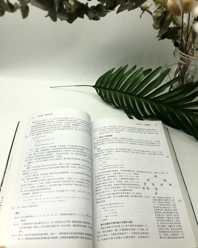 Introduction to Algorithms (Original 3rd Edition)/Computer Science Series