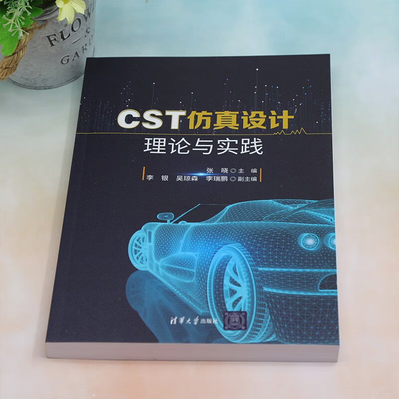 CST simulation design theory and practice