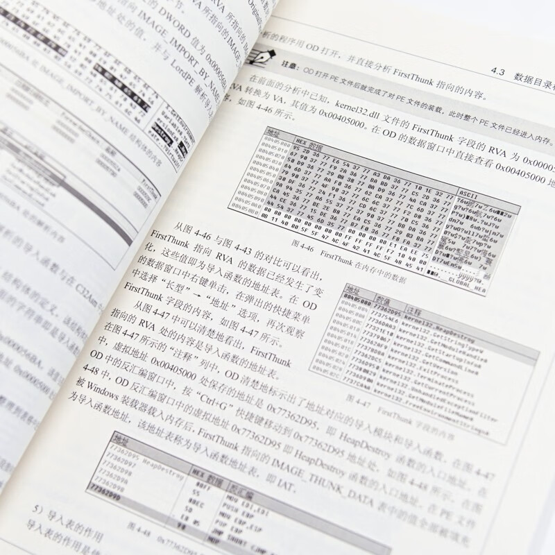 Reverse Analysis in Practice (2nd Edition) (produced by Asynchronous Books)