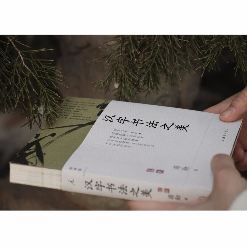 The beauty of Chinese calligraphy Jiang Xun’s minimalist calligraphy history classic newly revised Chinese calligraphy aesthetics