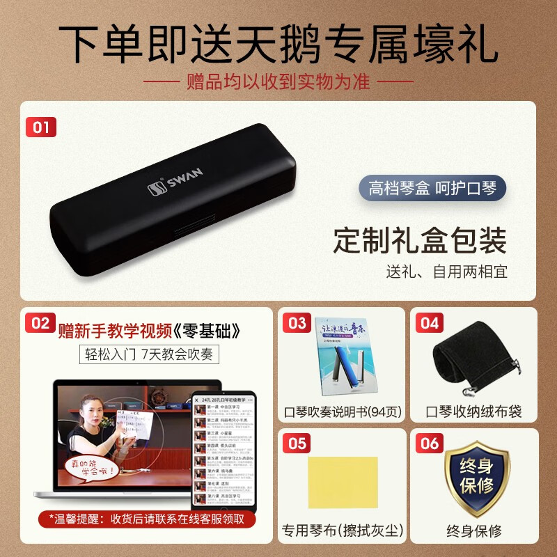 Swan (SWAN) 24-hole polyphonic playing harmonica in C key with phonetic markings for students and adults teaching recommended musical instrument silver