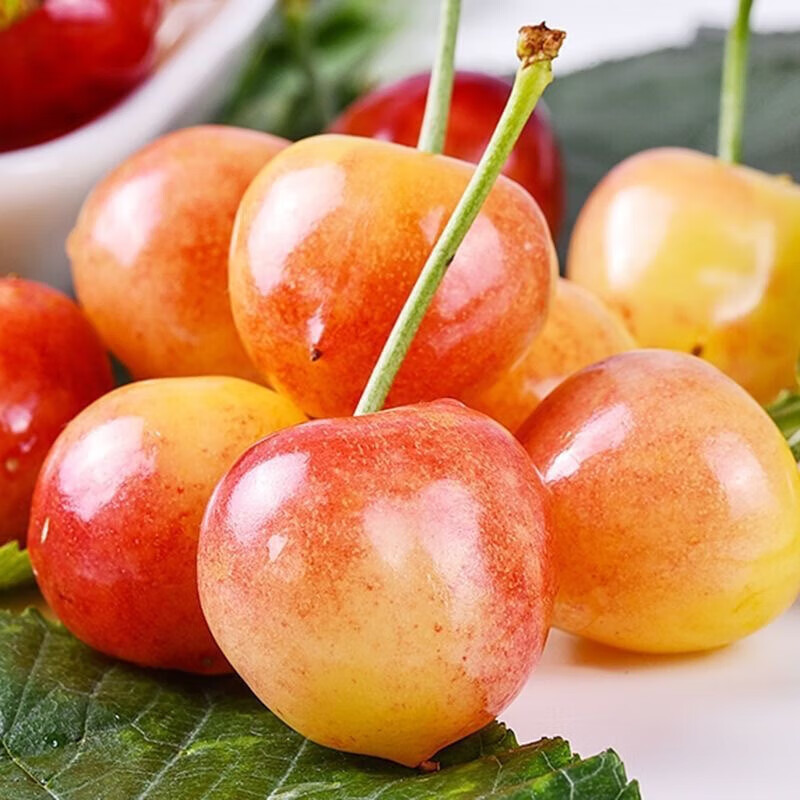 Gold cherries cherry yellow cherries fresh Rainier crystal seasonal high-end fruit gift box 1000g (net weight) extra large fruit 4jjjj grade gift box