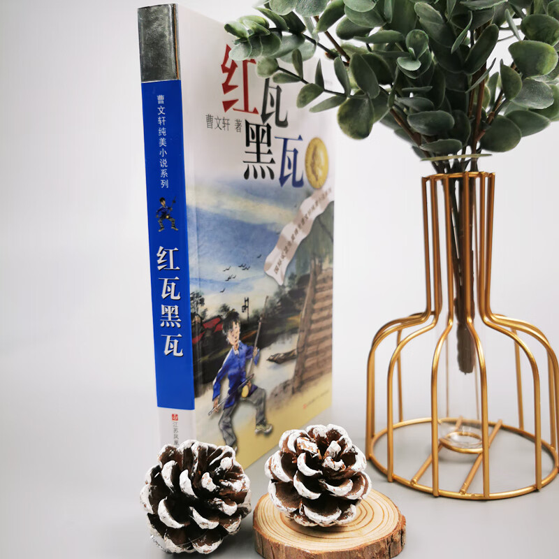 Cao Wenxuan's pure and beautiful novel Red Roof and Black Roof/One of the representative works of Cao Wenxuan, winner of the International Andersen Award, has a unique perspective, ups and downs of the story, shocking, poetic description, and full of care for young people.