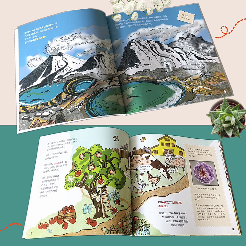 Exploring the Kingdom of Bacteria (all 4 volumes) starts from the perspective of children, systematically and vividly displays the concept of bacteria, the history of bacteria and the origin of life on earth, how bacteria keep the immune system healthy, how bacteria affect our daily life, the principles of bacterial pathogenicity and other microbial science knowledge, and conveys the importance of cultivating living habits.