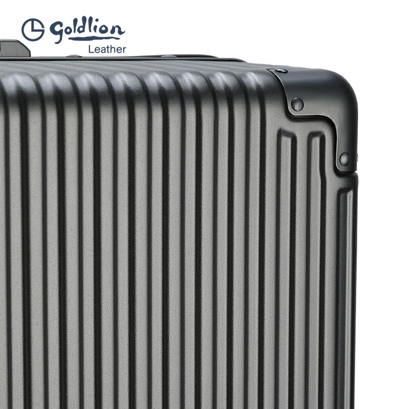 Goldlion Luggage Large Capacity Checked Code Box Lightweight Travel Trolley Case for Men and Women New Year Gift for Men Silver Gray TSA Code Lock 20 Inch (Carry-on Case Suitable for 3-5 Days Short Distance)