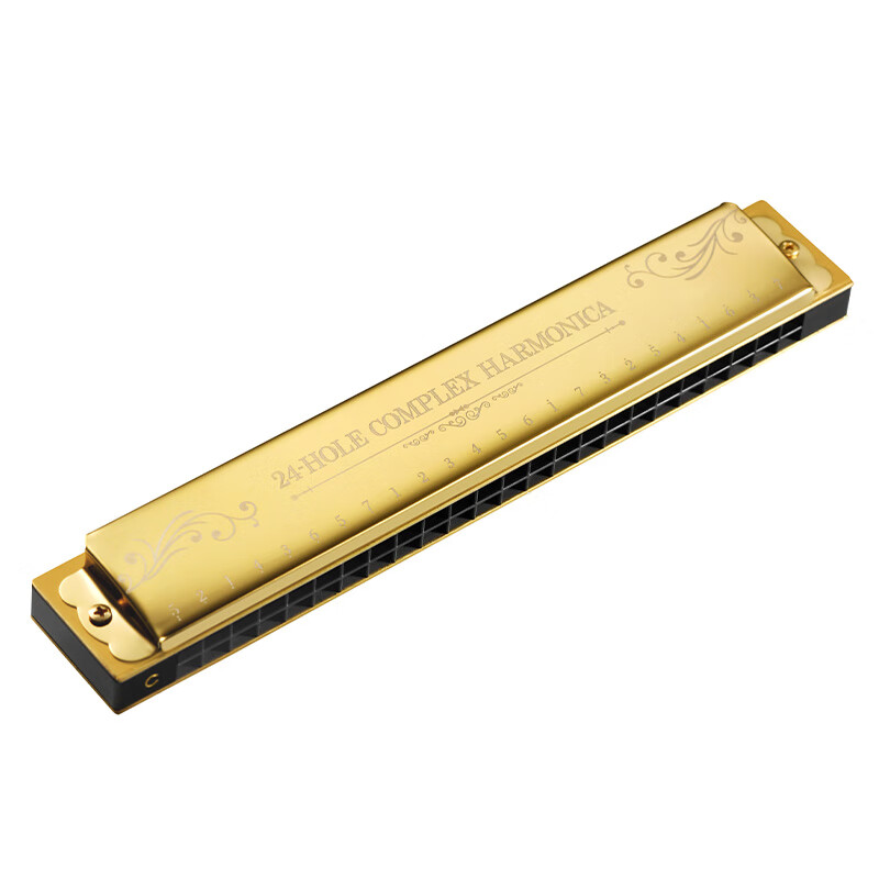 Swan (SWAN) harmonica 24-hole polyphonic C key phonetic notation musical instrument student adult professional playing harmonica gold