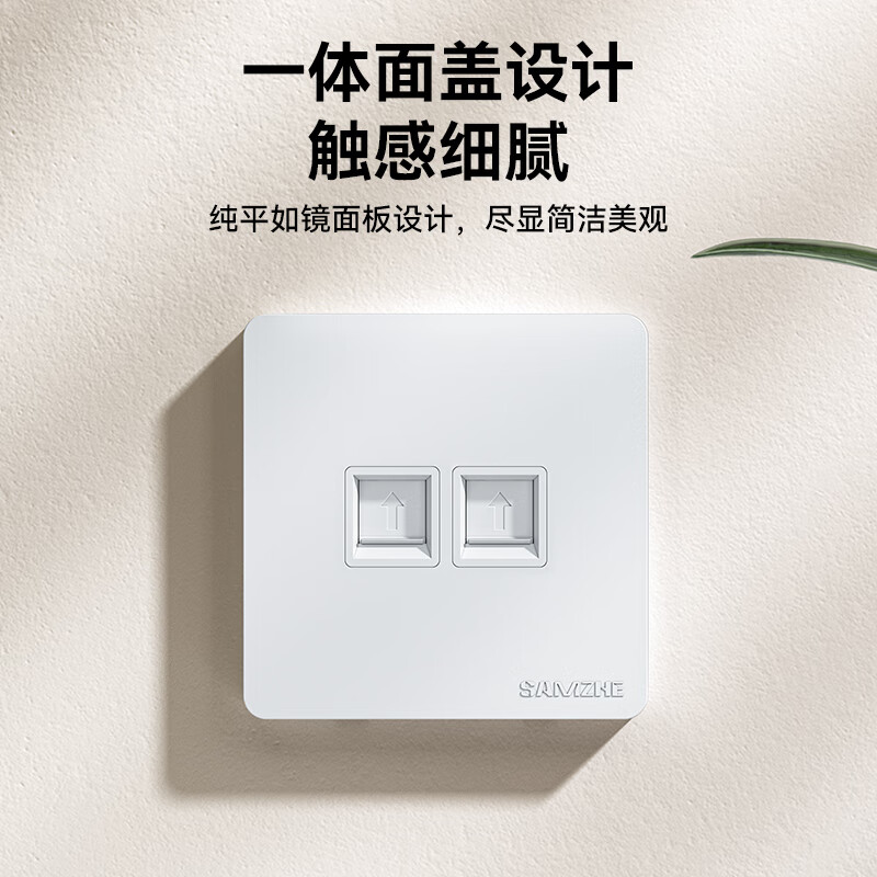 Shanze network cable network port network panel universal Category 5/6/7 module thickened 86 type panel suitable for computer room network socket dual port two-bit WAN-02