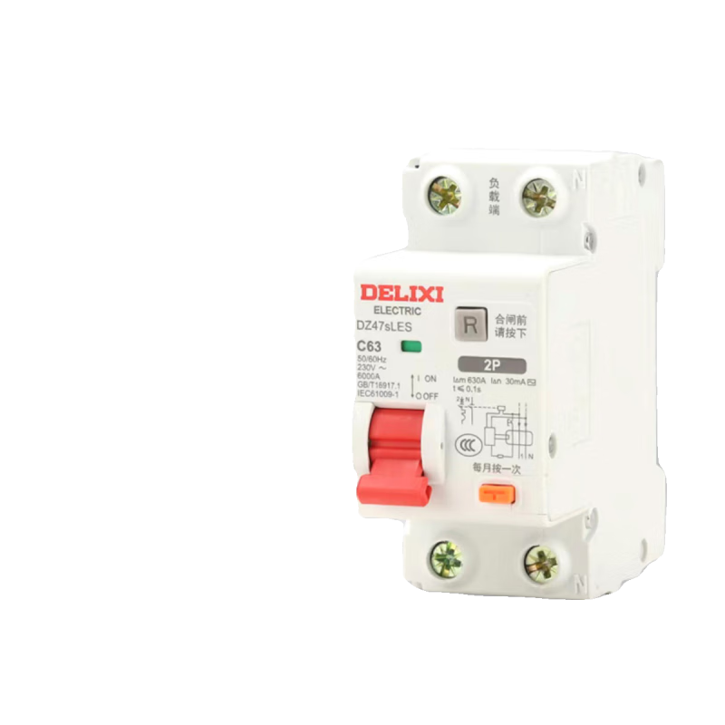 Leakage protection switch DZ47SLES2P leakage protection 220V lower in and upper out small volume circuit breaker 2P 63A