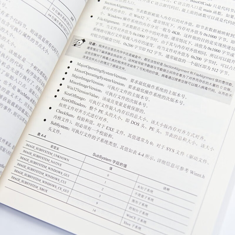 Reverse Analysis in Practice (2nd Edition) (produced by Asynchronous Books)