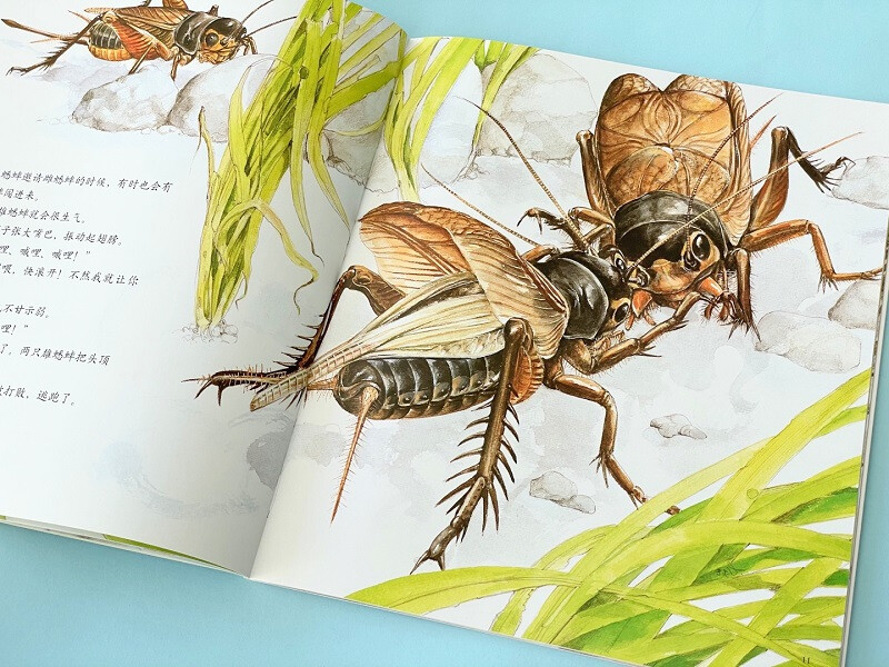 The Most Beautiful Fabre's Insects, a 12-volume set by Master Matsuoka Daiei, Children's Natural Science Encyclopedia of Insects, School Recommended Extracurricular Reading, 3-6 Years Old, 7-10 Years Old, Love Tree Children's Book