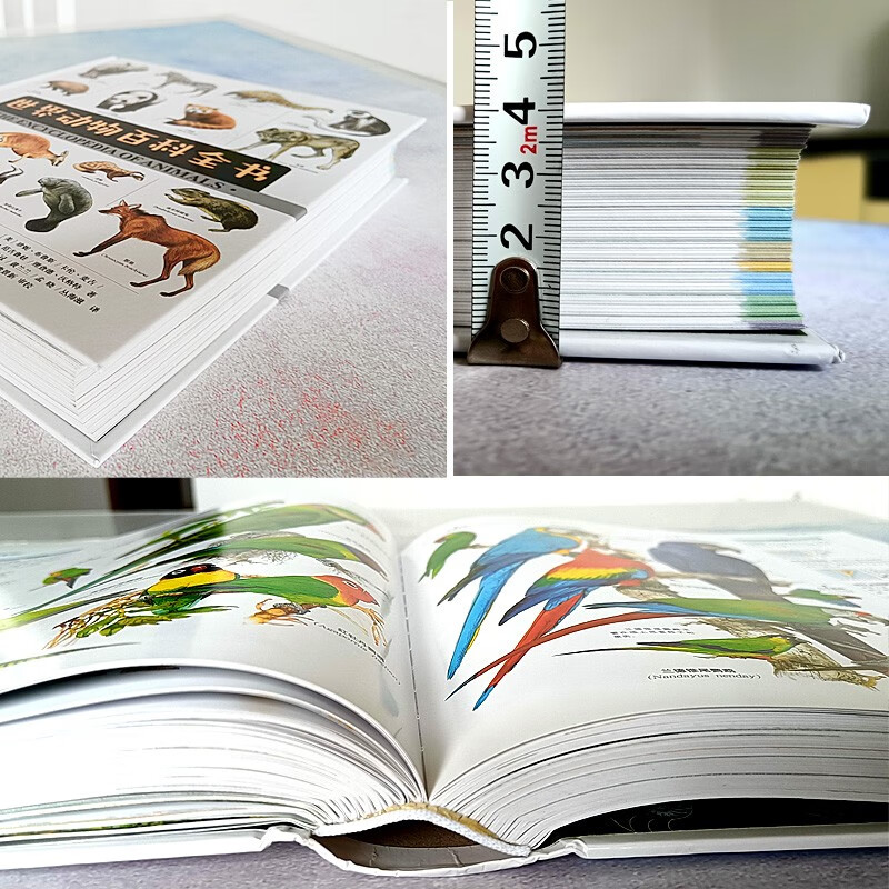 American Weldon Owen Children's Encyclopedia of World Animals (7-14 years old) popular science for children. More than 5,000 hand-drawn drawings of mammals, amphibians, reptiles, invertebrates, birds, and fish by zoologists from various countries.