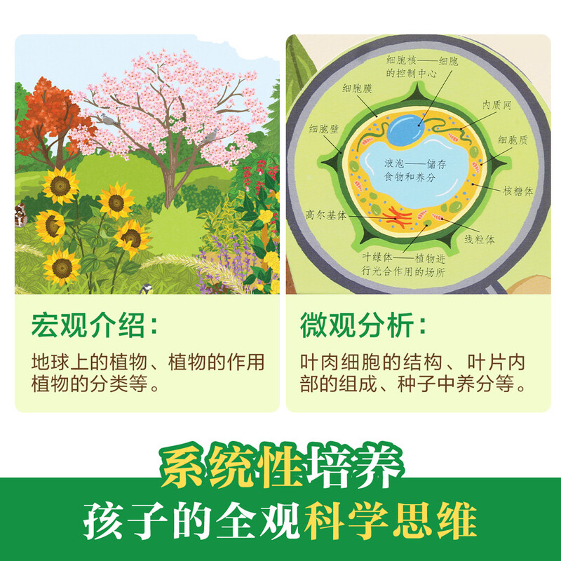 18 yuan off for orders over 87. Revealing Plants (popular science flip book for children aged 5-10) Le Fun Children’s Book Revealing Series Children’s Enlightenment Popular Science Pop-up Book Children’s Book Festival Children’s Money Saving Card