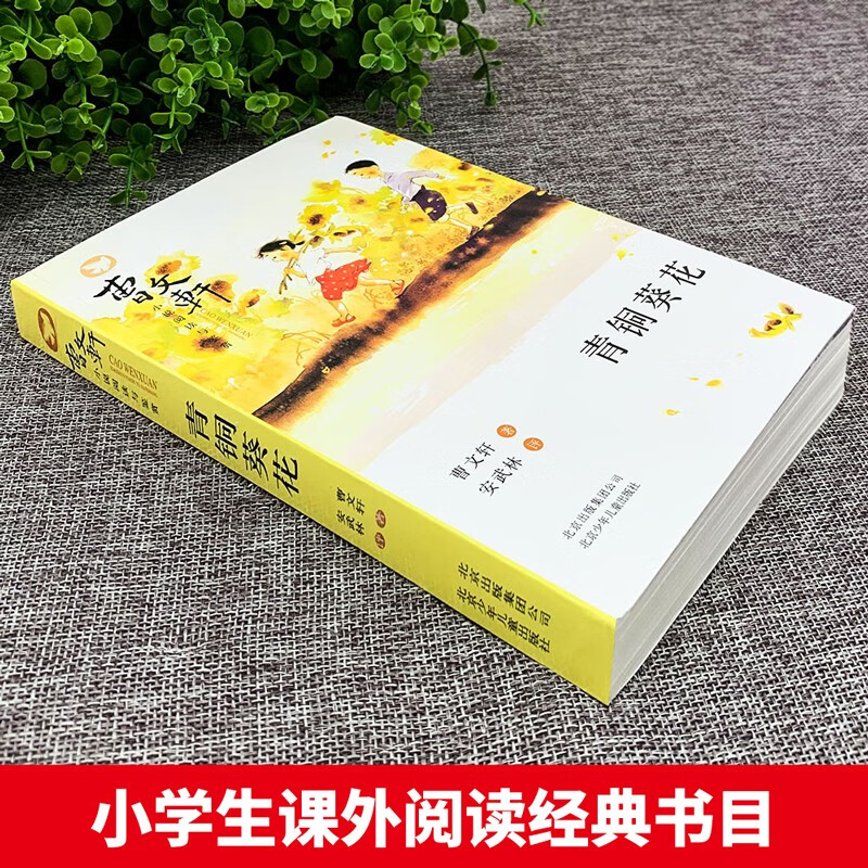 Bronze Sunflower Cao Wenxuan's genuine books and novels reading and appreciation series children's literature teachers recommend primary school students' extracurricular reading books children's extracurricular reading Cao Wenxuan's novel series 7-10 years old 8-14 years old
