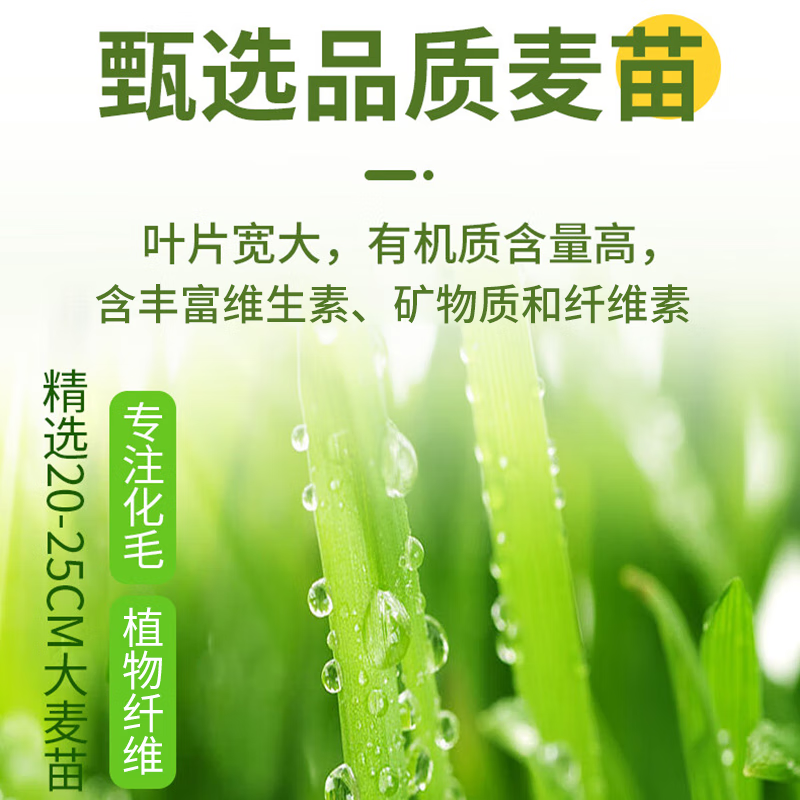 MamyPets cat grass granules chicken freeze-dried cat snacks cat hair ball cream spit hair ball catnip teething stick biscuits cat grass tablets