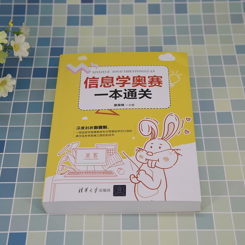 Informatics Olympiad in one book