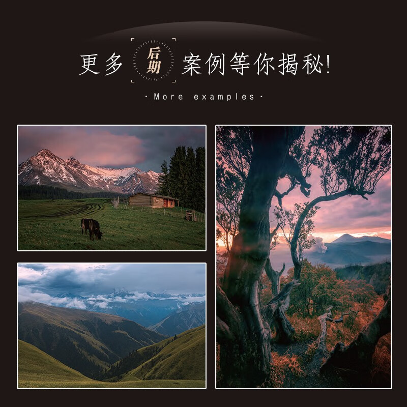 Become a Master of Landscape Photography Post-production: Practical Case Studies (Produced by Photographers)