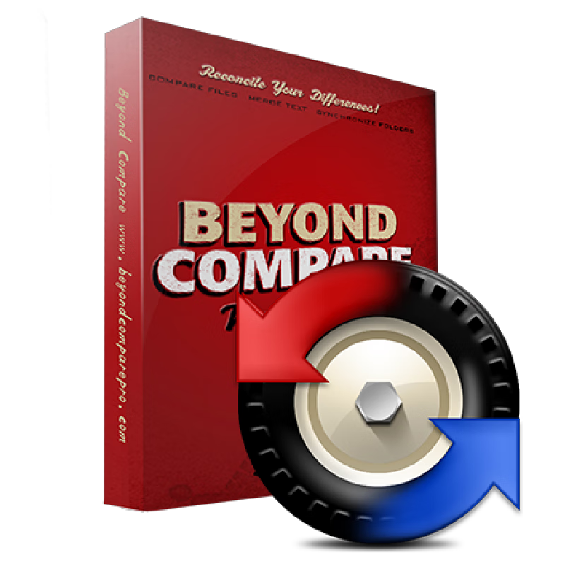Genuine Beyond Compare 5 file comparison tool comparison software BeyondCompare Pro Professional Edition Professional Edition