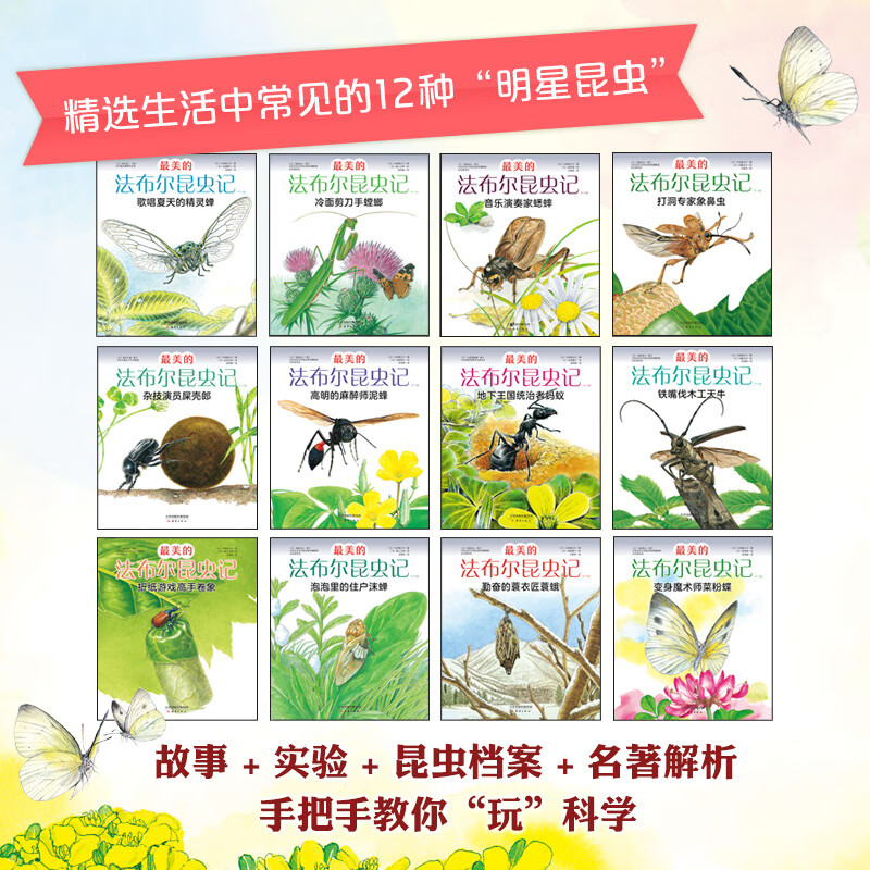 The Most Beautiful Fabre's Insects, a 12-volume set by Master Matsuoka Daiei, Children's Natural Science Encyclopedia of Insects, School Recommended Extracurricular Reading, 3-6 Years Old, 7-10 Years Old, Love Tree Children's Book