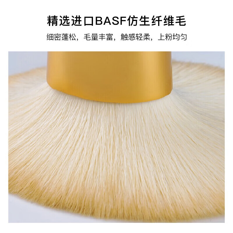 AMORTALS Star Makeup Brushes 12 pieces (Eye Shadow Brush, Powder Brush, Blush Brush) Portable Beauty Tools Holiday Gift