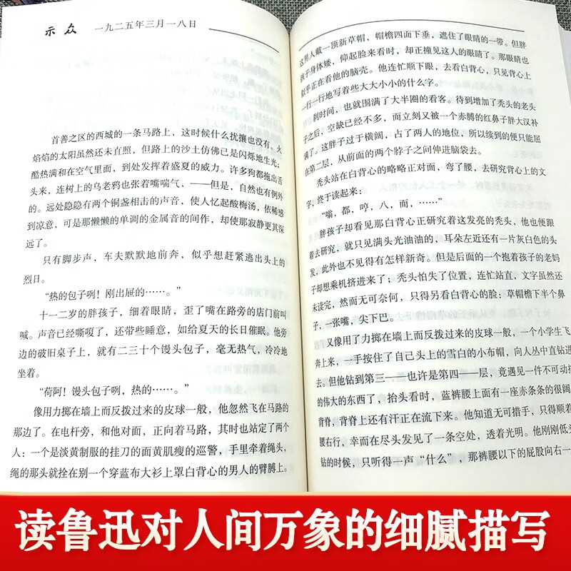 Diary of a Madman, Lu Xun's classic novel collection, Chinese textbooks, classic literature extracurricular reading, modern literary novels, prose collection, youth prose essays, novels