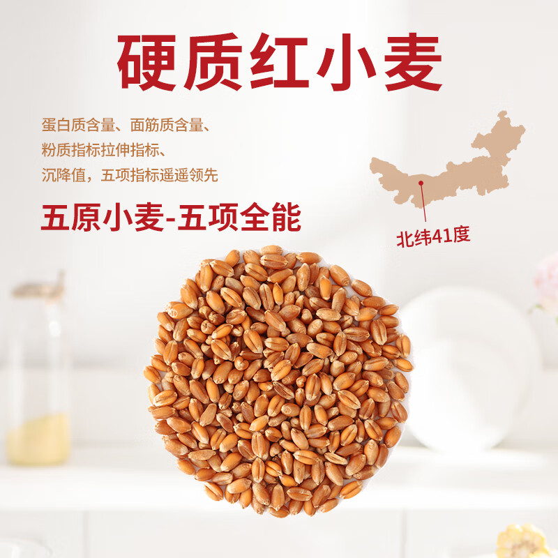 Xinle whole wheat flour 10 pounds, green food from the core production area of Hetao Plain, Inner Mongolia, containing wheat bran, wheat germ, high fiber and low fat