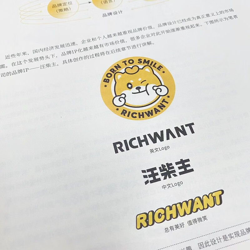 Remodeling, full analysis of brand design and IP creation process (produced by Shuyi Design)