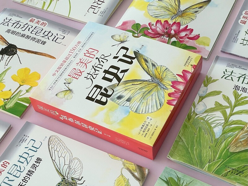 The Most Beautiful Fabre's Insects, a 12-volume set by Master Matsuoka Daiei, Children's Natural Science Encyclopedia of Insects, School Recommended Extracurricular Reading, 3-6 Years Old, 7-10 Years Old, Love Tree Children's Book