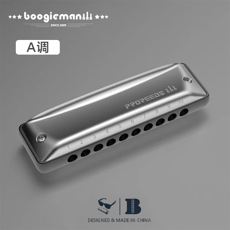 BoogieMAN Yuanyuan's same model ProReeds ten-hole harmonica paddy blues for adults and children beginners