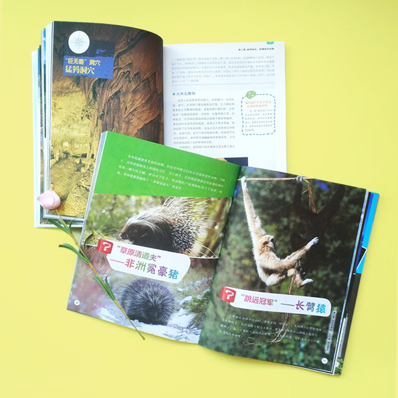 National Geographic Children's Encyclopedia (set of 12 volumes in total) summer reading, summer extracurricular books, extracurricular independent reading in summer, summer vacation readings, summer homework, summer transition from primary school to junior high school, summer transition from primary school to junior high school