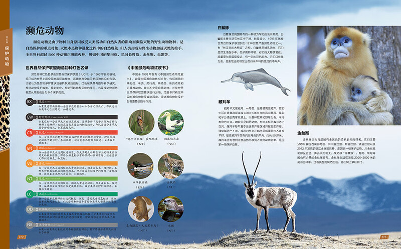 Chinese Children's Animal Encyclopedia Hardcover Genuine Encyclopedia of Animal World for Primary School Students 6-12 Years Old Wildlife Science Picture Book Children's Natural Enlightenment Observation Extracurricular Book