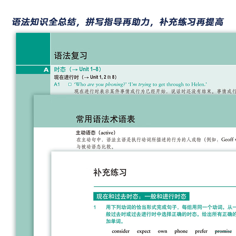 Cambridge Advanced English Grammar (Cambridge English in Use Series Second Edition Chinese Edition)