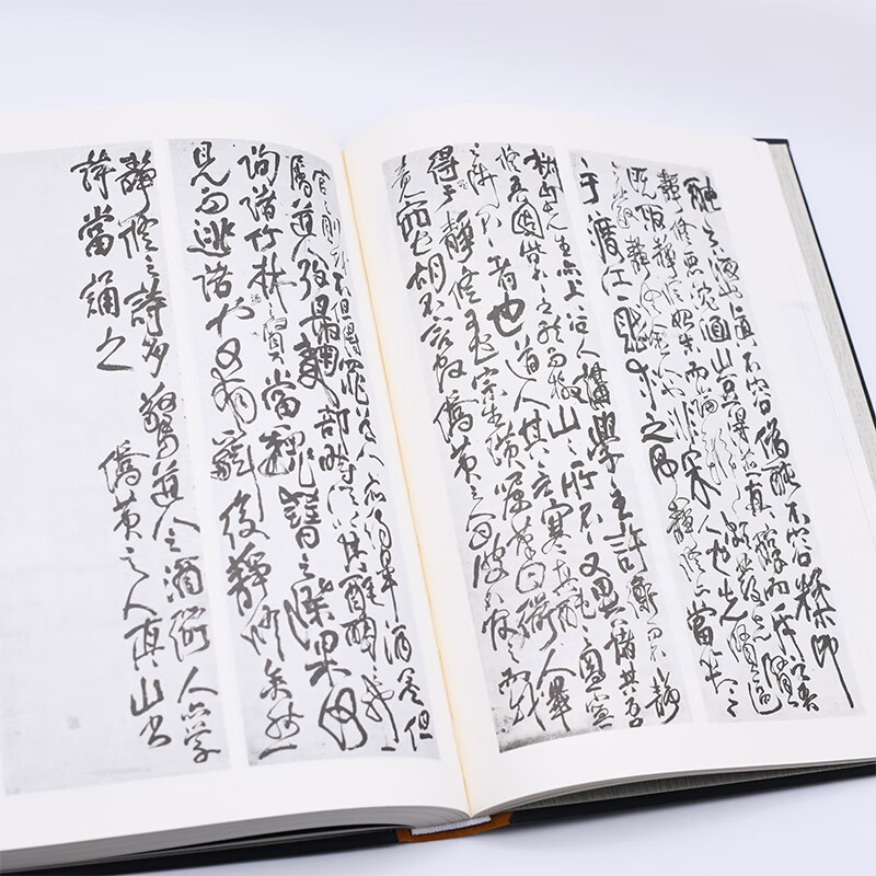 Fu Shan's World: The Evolution of Chinese Calligraphy in the Seventeenth Century