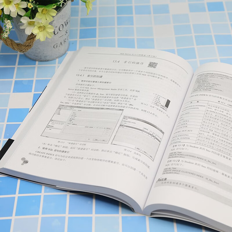 SQL Server from Beginner to Master (5th Edition)/Software Development Video Lecture