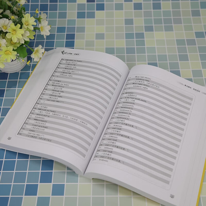 Informatics Olympiad in one book