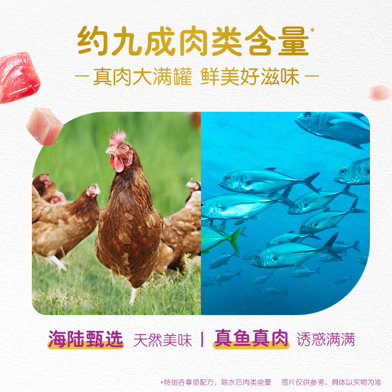 Weijia imported canned cat wet cat food pet cat food imported from Thailand ocean fish flavor 400g
