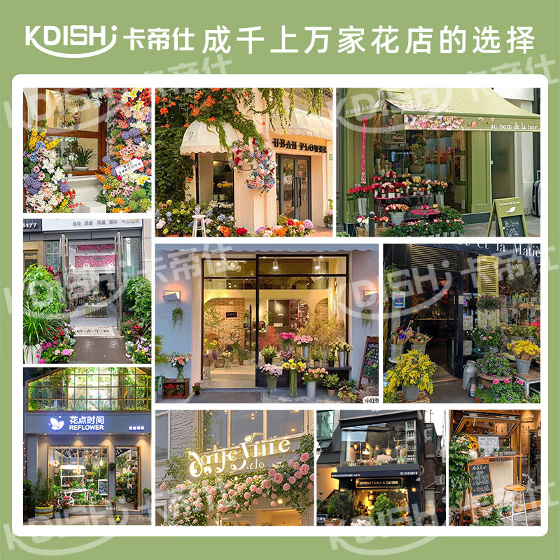 Kadis flower fresh cabinet commercial large-capacity air-cooled flower cabinet fresh-keeping refrigerator flower freezer flower refrigerated fresh-keeping cabinet flower freezer display cabinet air-cooled and frost-free high-end model extra large double door no need for drainage three light switching