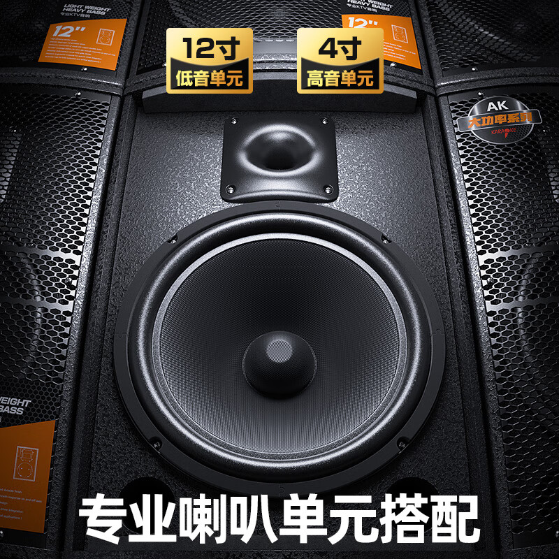 Aigo conference audio set, dedicated speakers for small and medium-sized conference rooms, stage gym classroom wall-mounted card package speakers, 2 10-inch professional speakers + upgraded amplifier