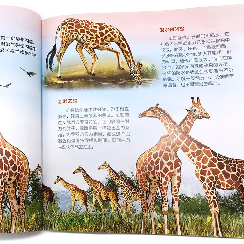 3-6 years old Children’s Eyes on the World Science Museum Grassland Animals