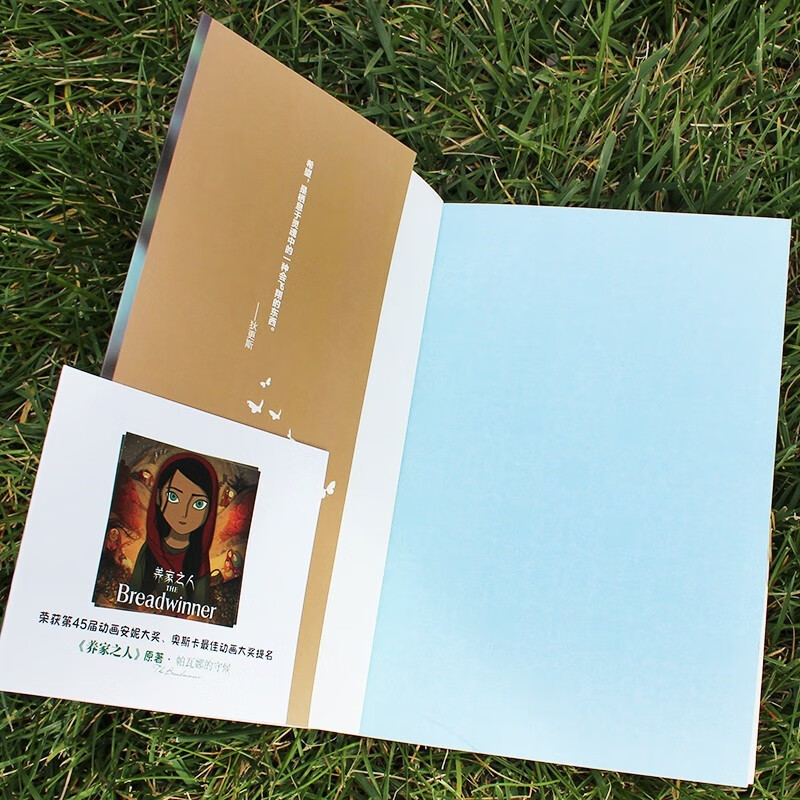 Parvana's Waiting, the original novel of the movie The Breadwinner, nominated for the Academy Award animated feature film, children's literature on the Afghan war, extracurricular reading for primary school students