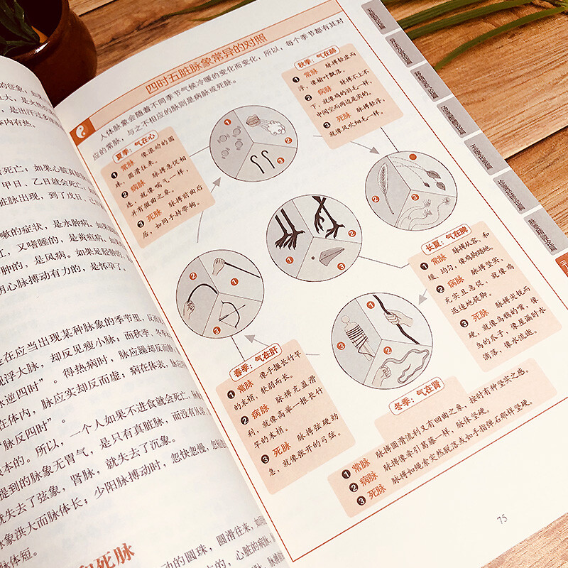 Illustrated Compendium of Materia Medica + Illustrated Huangdi Neijing (2 volumes in total) Illustrated in vernacular, color illustration collector's edition, medical health books, traditional Chinese medicine health care
