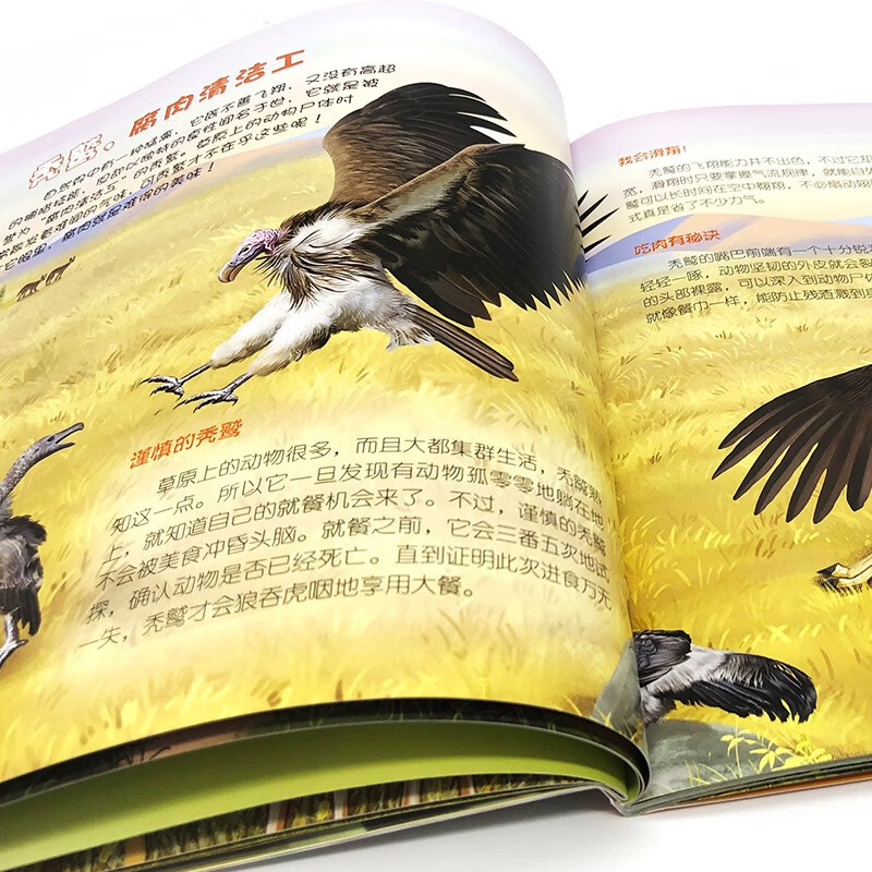 3-6 years old Children’s Eyes on the World Science Museum Grassland Animals