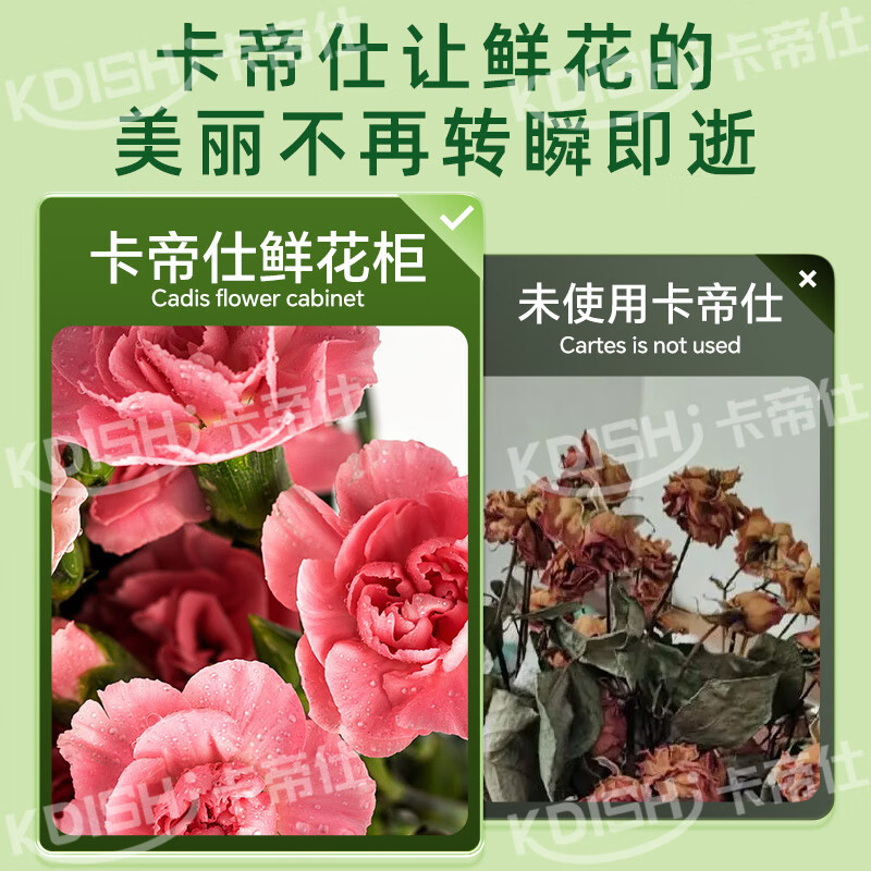 Kadis flower fresh cabinet commercial large-capacity air-cooled flower cabinet fresh-keeping refrigerator flower freezer flower refrigerated fresh-keeping cabinet flower freezer display cabinet air-cooled and frost-free high-end model extra large double door no need for drainage three light switching