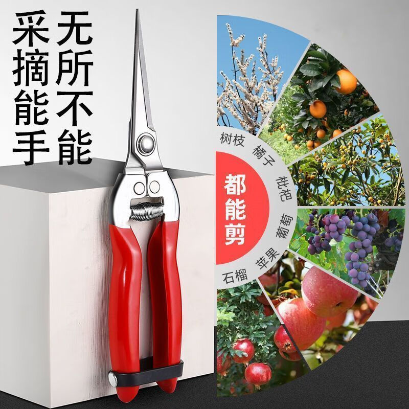 Yanran stainless steel fruit picking scissors, gardening scissors, pruning shears, imported grape pitaya scissors, special scissors for picking pepper, 3 stainless steel fruit picking scissors