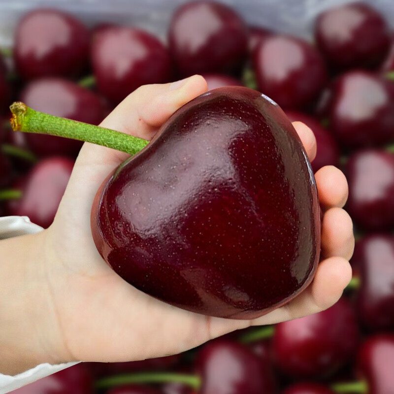 Runxianpei imported air-shipped cherries from Chile, fresh fruit for pregnant women, black pearls and large cherries, seasonal whole box gift box, 3 catties (net weight), high-end gift box + handbag, 4J, extra large fruit 32-34mm