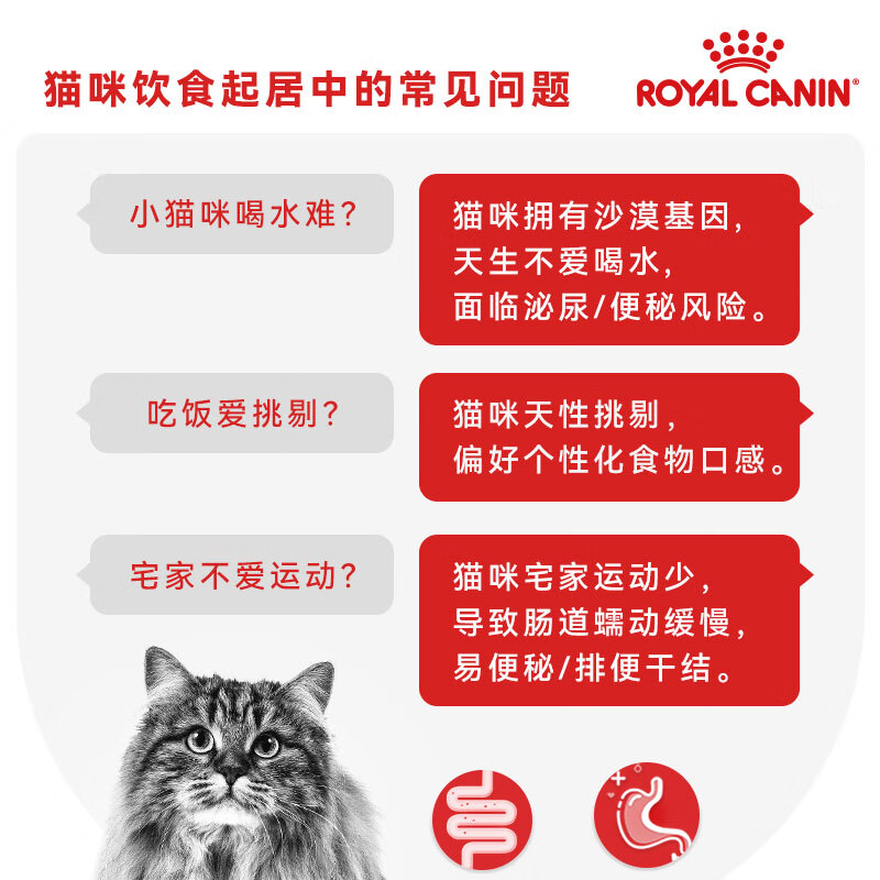 Royal Cat Food Adult Cat Wet Food Soft Pack Canned Cat IJP General Food Jelly Aspic 85G*12 Imported