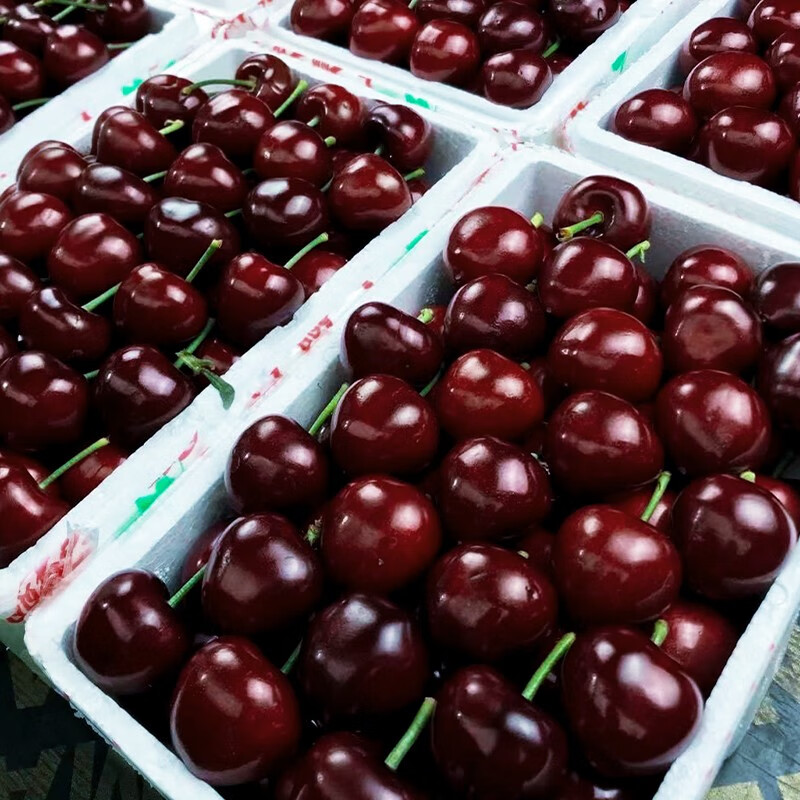 Runxianpei imported air-shipped cherries from Chile, fresh fruit for pregnant women, black pearls and large cherries, seasonal whole box gift box, 3 catties (net weight), high-end gift box + handbag, 4J, extra large fruit 32-34mm