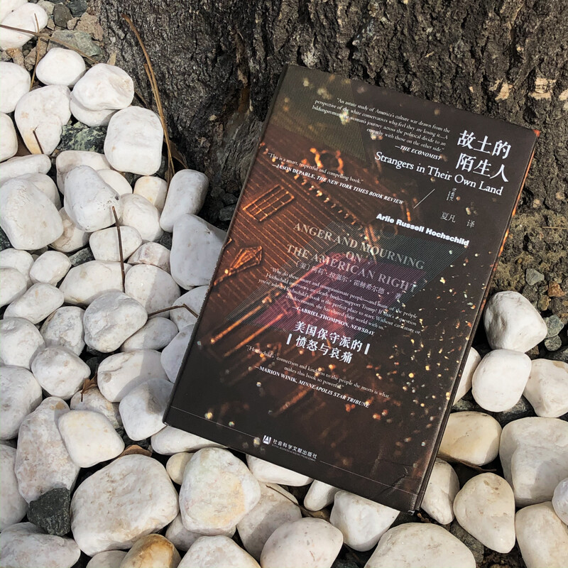 Oracle Series Strangers in the Homeland The Anger and Grief of American Conservatives