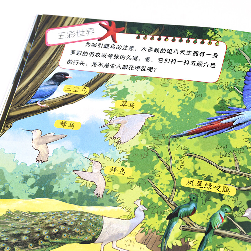 2,000 popular science stickers to cultivate children's concentration, fun animals, 3-6 years old